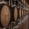 images/SS/Evento Bellaria-26.jpg